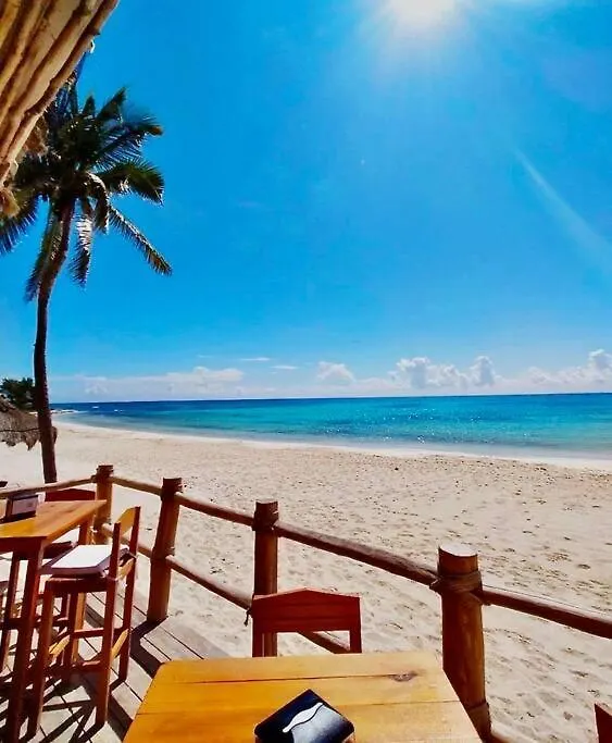 Beautiful Condo In Playa Del Carmen Inside Corasol