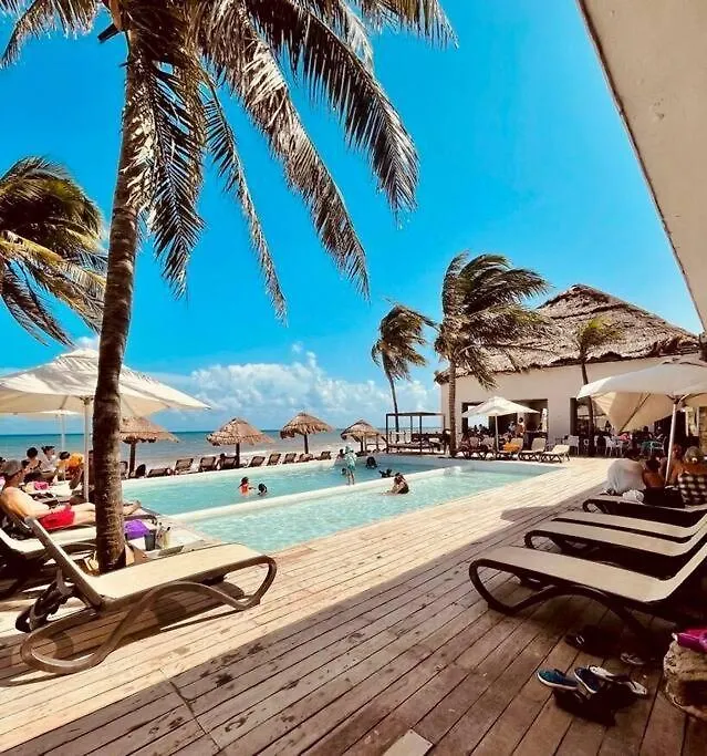 Beautiful Condo In Playa Del Carmen Inside Corasol Apartment